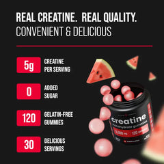 reatine Gummies – Muscle Recovery & Performance Support (Watermelon Flavor, 120 Gummies)