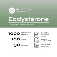 Ecdysterone Supplement – Plant-Based Muscle & Performance Support (30 g)
