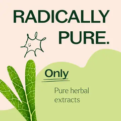 Plant Therapy Moringa Herbal Supplement (120 Capsules)