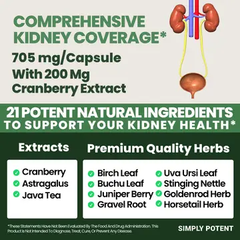 Simply Potent Kidney Support with Cranberry Extract (60 Capsules)