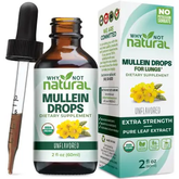 Why Not Natural Organic Mullein Drops For Lungs