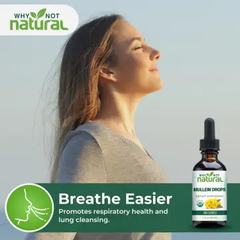 Why Not Natural Organic Mullein Drops For Lungs
