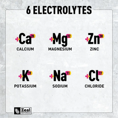 Zeal Naturals Electrolyte Powder Stick Packs (Variety)
