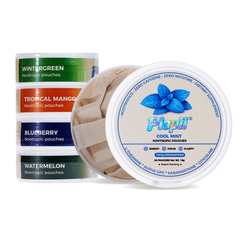 Plopii Focus Nootropic Pouches (120mg Paraxanthine) 20 pouches