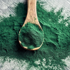 Herb To Body Spirulina Powder (4 oz.)