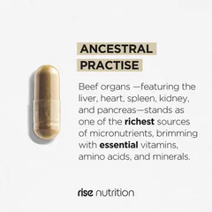 Rise Nutrition Grass-Fed Beef Organ Complex (180 Capsules)