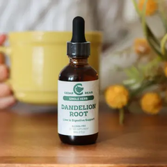 Cedar Bear Dandelion Root (2 fl. ounces)