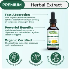 Why Not Natural Organic Mullein Drops For Lungs