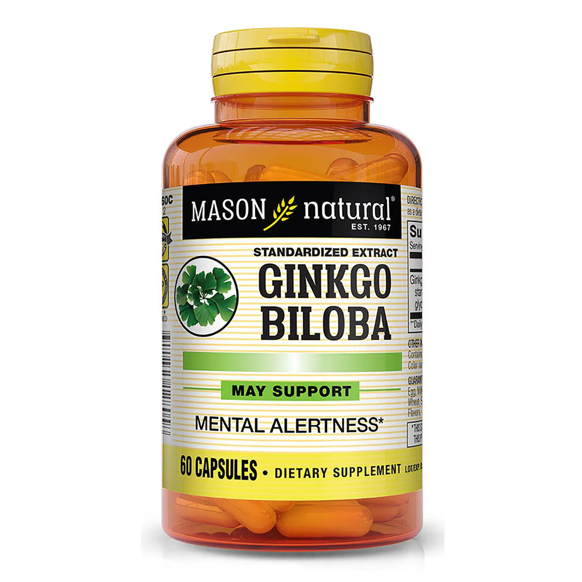 Mason Natural Ginkgo Biloba (60 Capsules)