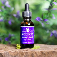 Cedar Bear Xodine - Molecular Iodine (1 fl. oz.)