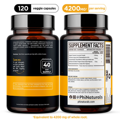 Phi Naturals Turmeric Curcumin with Bioperine (120 Capsules)