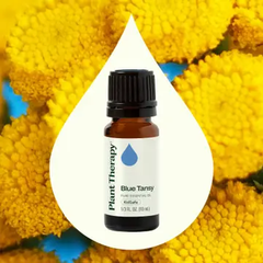 Plant Therapy Blue Tansy Essential Oil (10 mL)